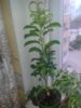 20140514_070557.jpg