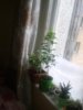 20140527_070851.jpg