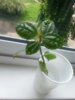 20140530_143000.jpg