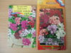 DSC04731.JPG
