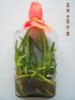 DSCN1855.jpg