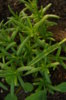 DSC05089.JPG