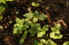 DSC05095.JPG