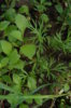 DSC05604.JPG