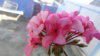 DSC01312.JPG