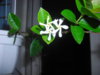 DSCN4993.JPG