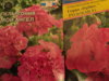 DSC04390.JPG