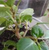 20140608_124115.jpg