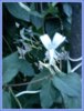 DSC00140.JPG