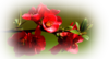 0_f442c_dbe8f95a_XL.png