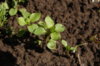 DSC09134.JPG