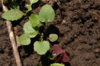 DSC09148.JPG