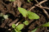 DSC09169.JPG