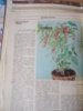 DSC04747.JPG