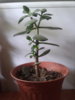 20130529_105624.jpg