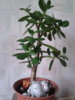 20140616_150543.jpg
