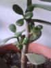 20130529_105640.jpg