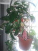 20140602_141947.jpg