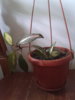 20130529_105827.jpg