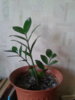 20130529_104711.jpg