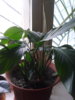 20130529_104750.jpg