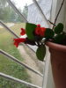 20130722_075343.jpg