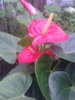 20120907_170015.jpg
