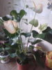 20140103_153058.jpg