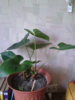 20130529_104923.jpg