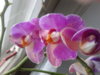 20130102_150539.jpg