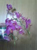 20130629_081930.jpg