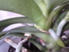 20140508_110522.jpg