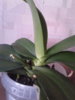 20140502_171509.jpg