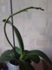 20140616_195713.jpg