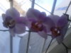 20130309_094010.jpg