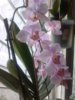 20140602_151429.jpg