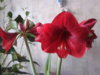 20140120_112906.jpg