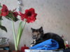20140120_113440.jpg