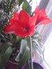 20140316_073703.jpg