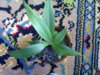 140620143227.jpg