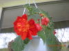 DSCN3417.JPG