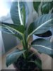 DSC00166.JPG