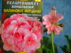 DSCN0700.JPG