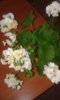 20140706_150542.jpg