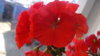 DSC01395.JPG