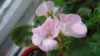 DSC01338.JPG