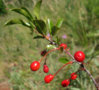 60880_79c2e34f.jpg
