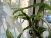 DSC00118.JPG