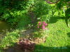 PICT1992.JPG