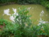 PICT1793.JPG